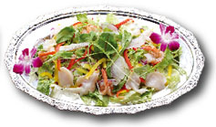 �J���p�b�`��